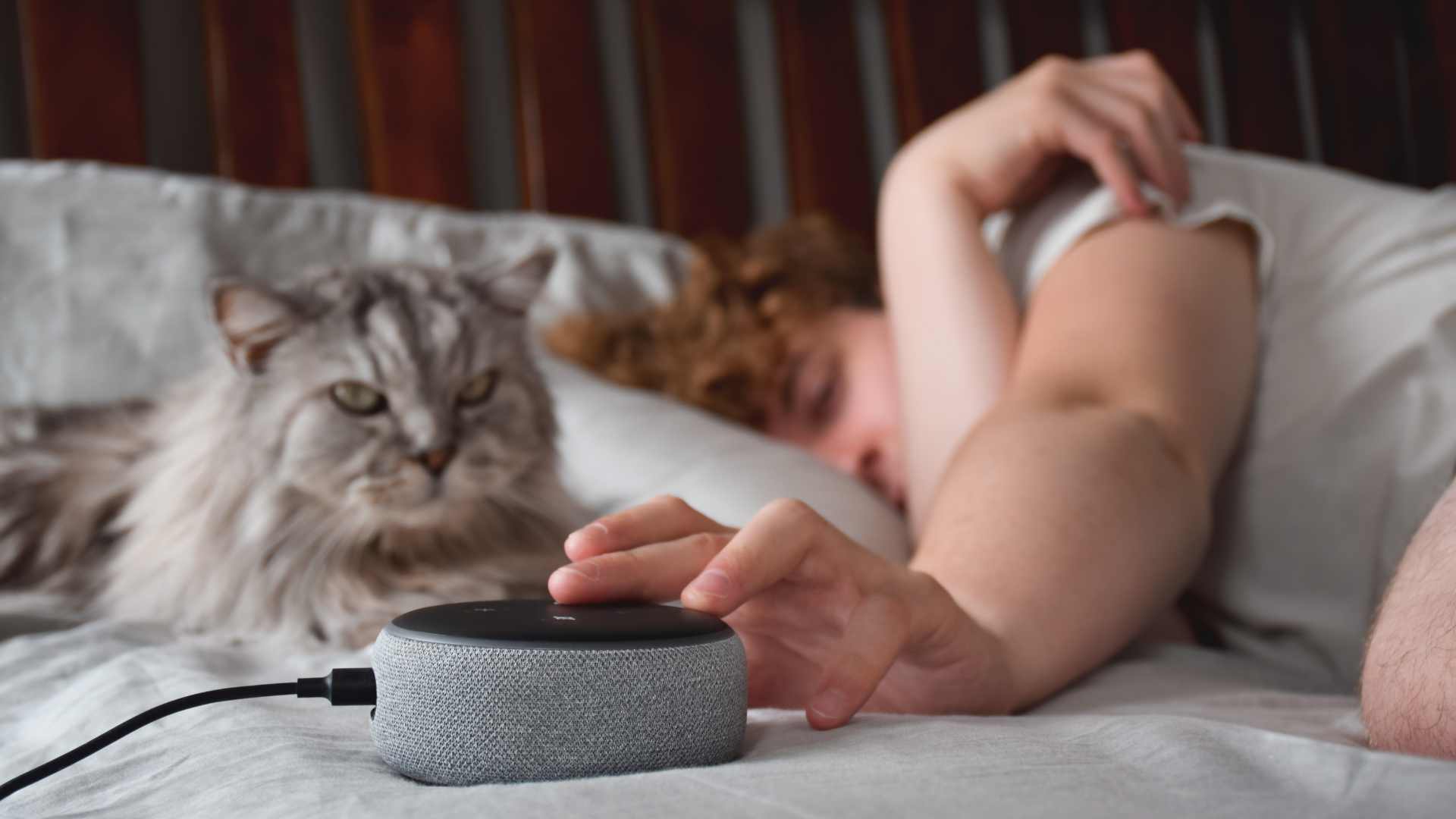 alexa