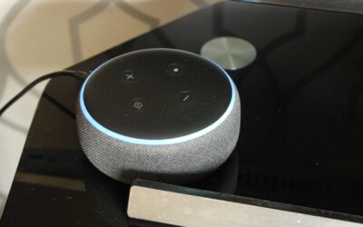 Alexa, dis-moi si tu respectes ma vie privée : Les enjeux de confidentialité des assistants vocaux