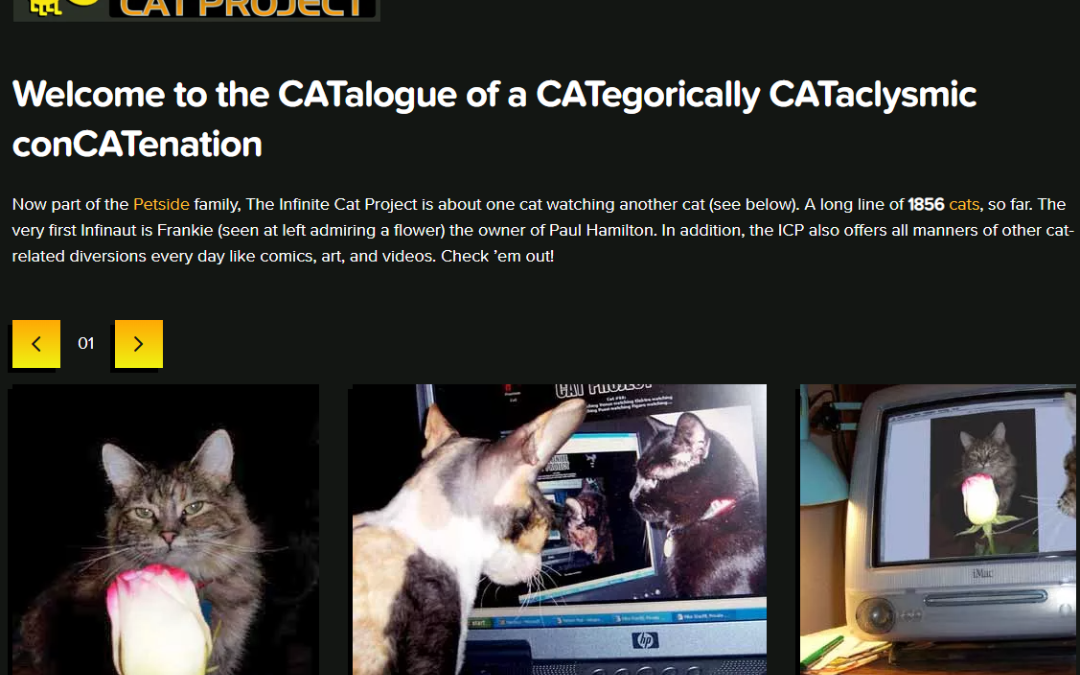 Infinite Cat : Aimez-vous les chats ? Si oui, vous apprécierez certainement ce site simple mais divertissant.